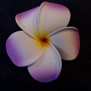 CLIP ON Plumeria Tropical Flower Hair Decoration